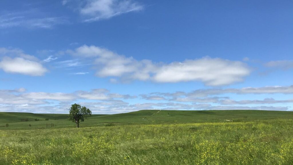 picture of the prairies