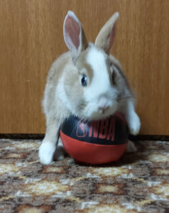 Whiteout with her ball