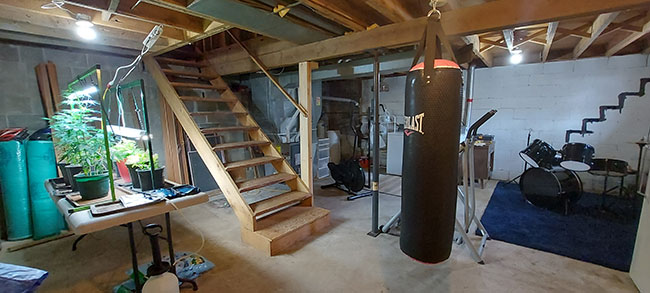 A basement with seeds, punching bag, drum-kit, and running machine.